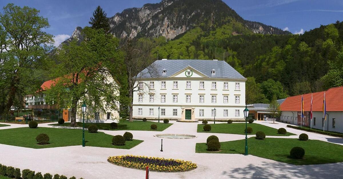 Schoene Ferienwohnung Schottwien Экстерьер фото